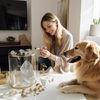 Healing Crystals for Pets: How To Enhance Your Pet's Life Force